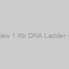 Azura PureView 1 Kb DNA Ladder - 1000 Lanes